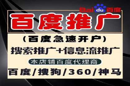 谷歌竞价广告与社交媒体结合的营销案例探讨